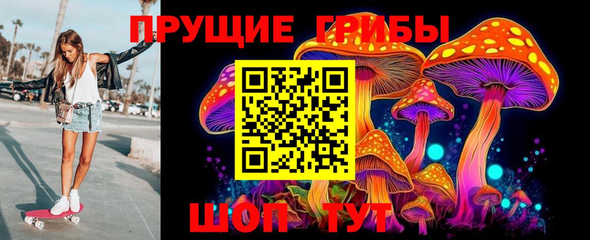 Галлюциногенные грибы прущие грибы  Вход с VPN  Нарткала 